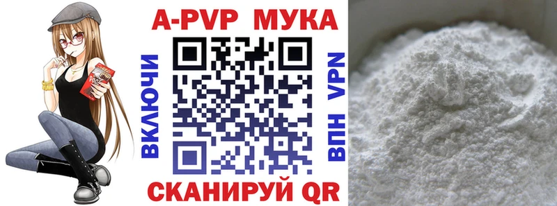 купить  сайты  Вологда  A PVP СК КРИС 