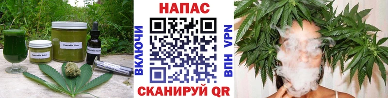 где найти   Вологда  Еда ТГК марихуана 