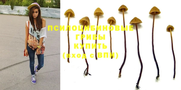 индика Верея