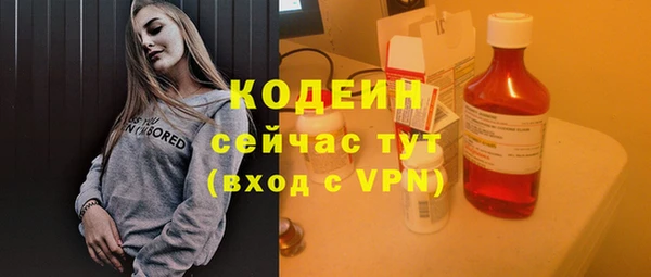 индика Верея