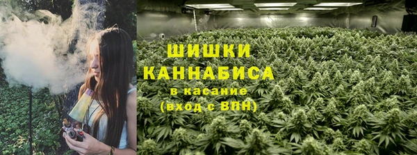 индика Верея