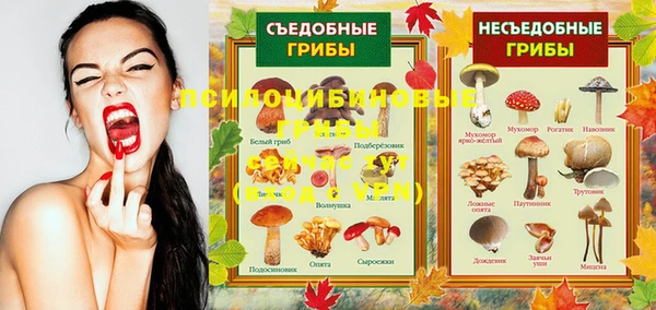 спиды Бородино
