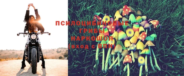 мдпв Верхний Тагил