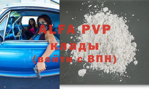 индика Верея