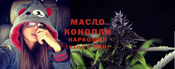 индика Верея