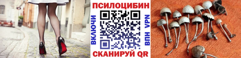 Псилоцибиновые грибы Cubensis  Вологда 